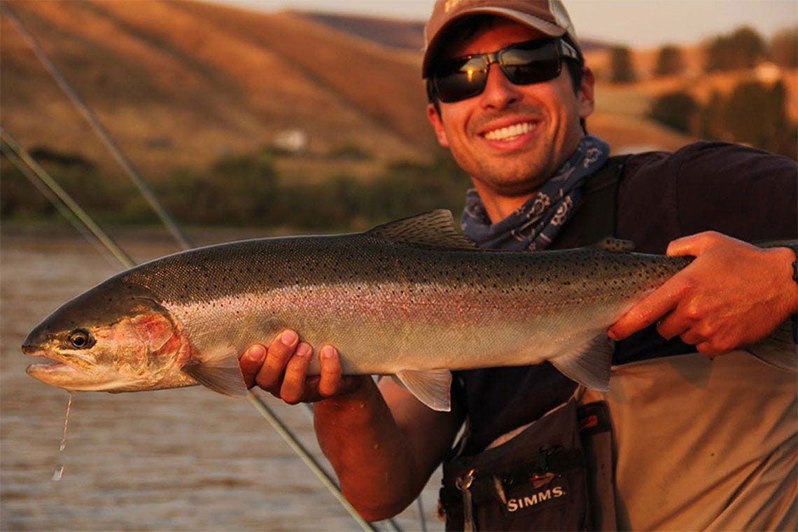 steelhead5
