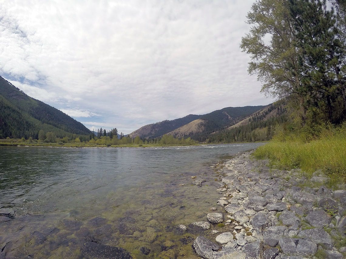 kootenaireport1