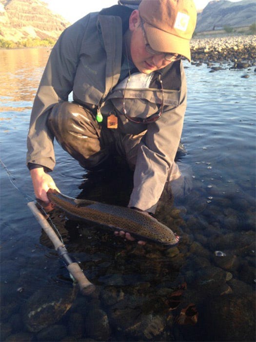 Fish-blog-steelhead-report