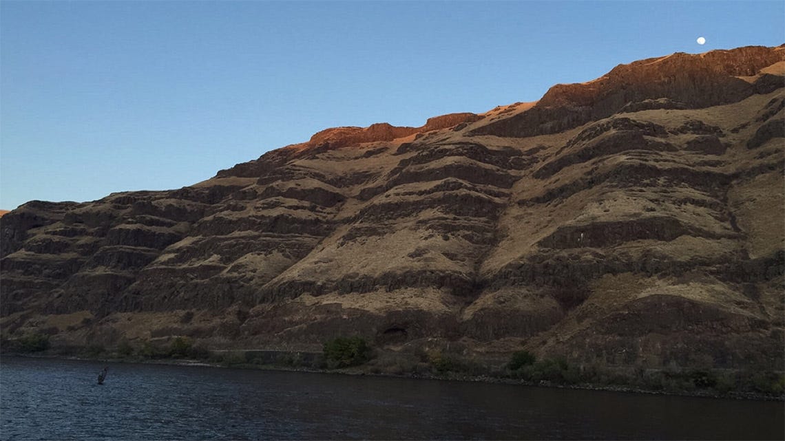 STL-blog-steelhead-report