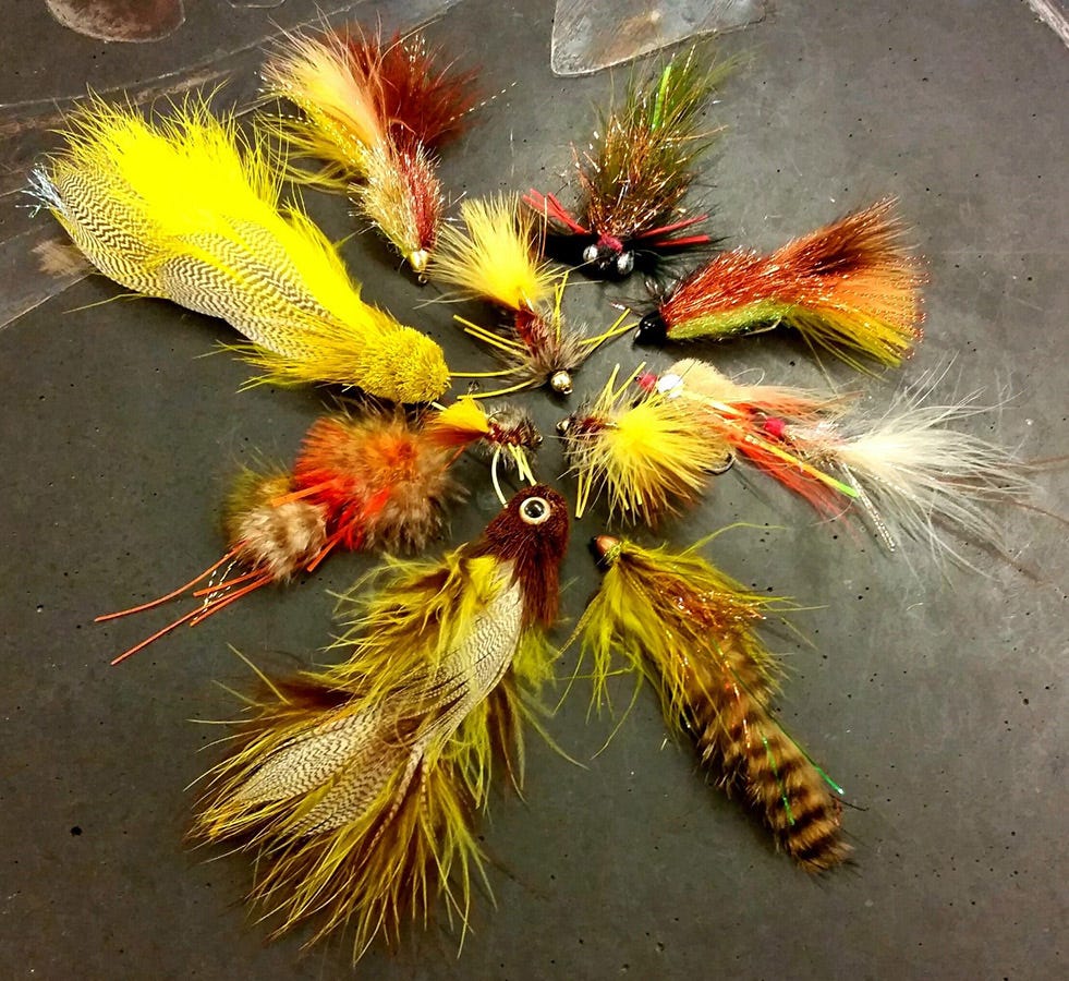 colorful-flies