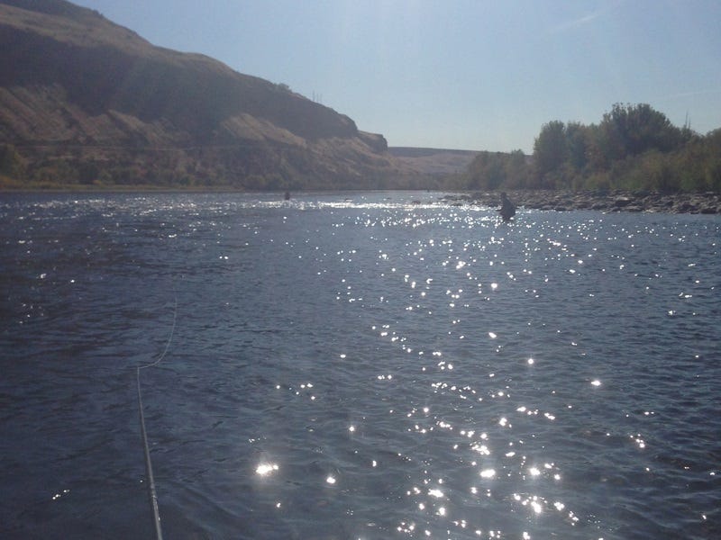 Learning the Swing: Fly Fishing in Lewiston, Idaho