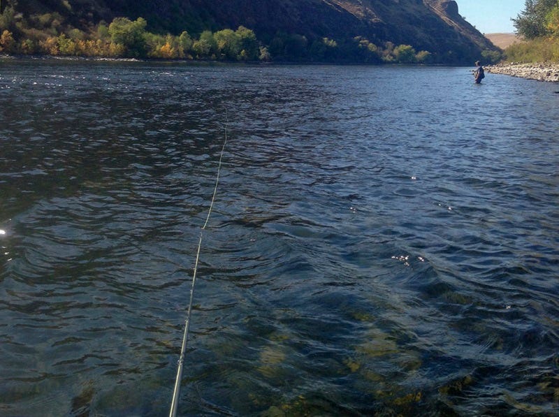 learn to swing flies fly fishing (2)