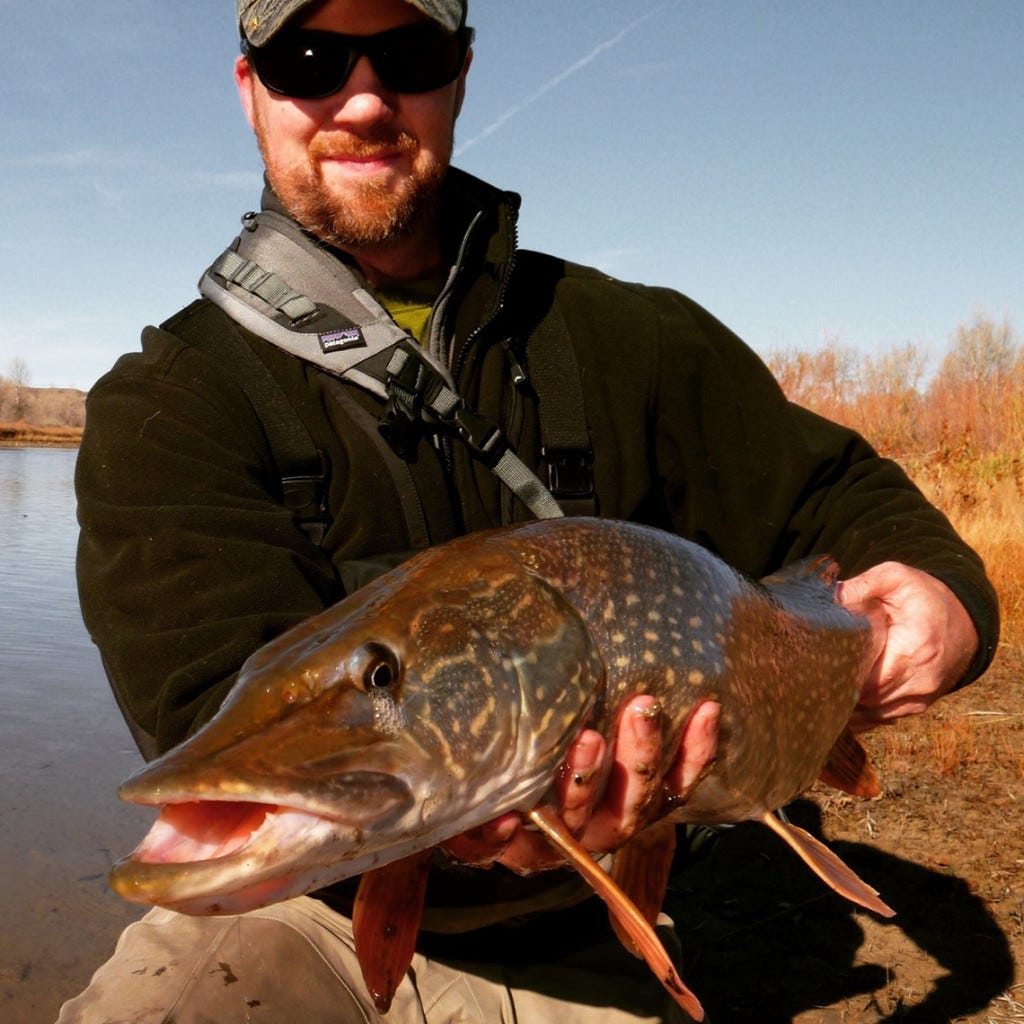 whoisfishingthemo1