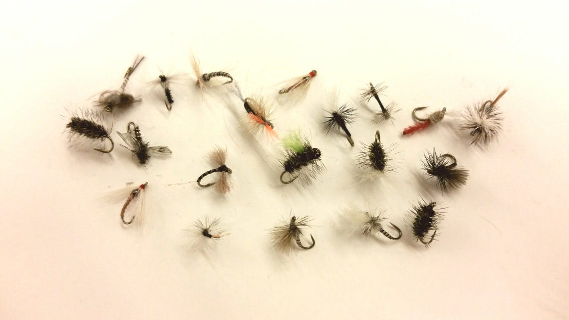 blog-snow-flies