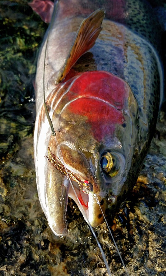 blog_streamer-bow