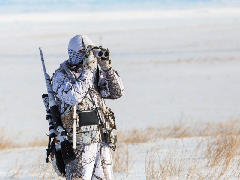Coyote Calling 101: An Introductory Course