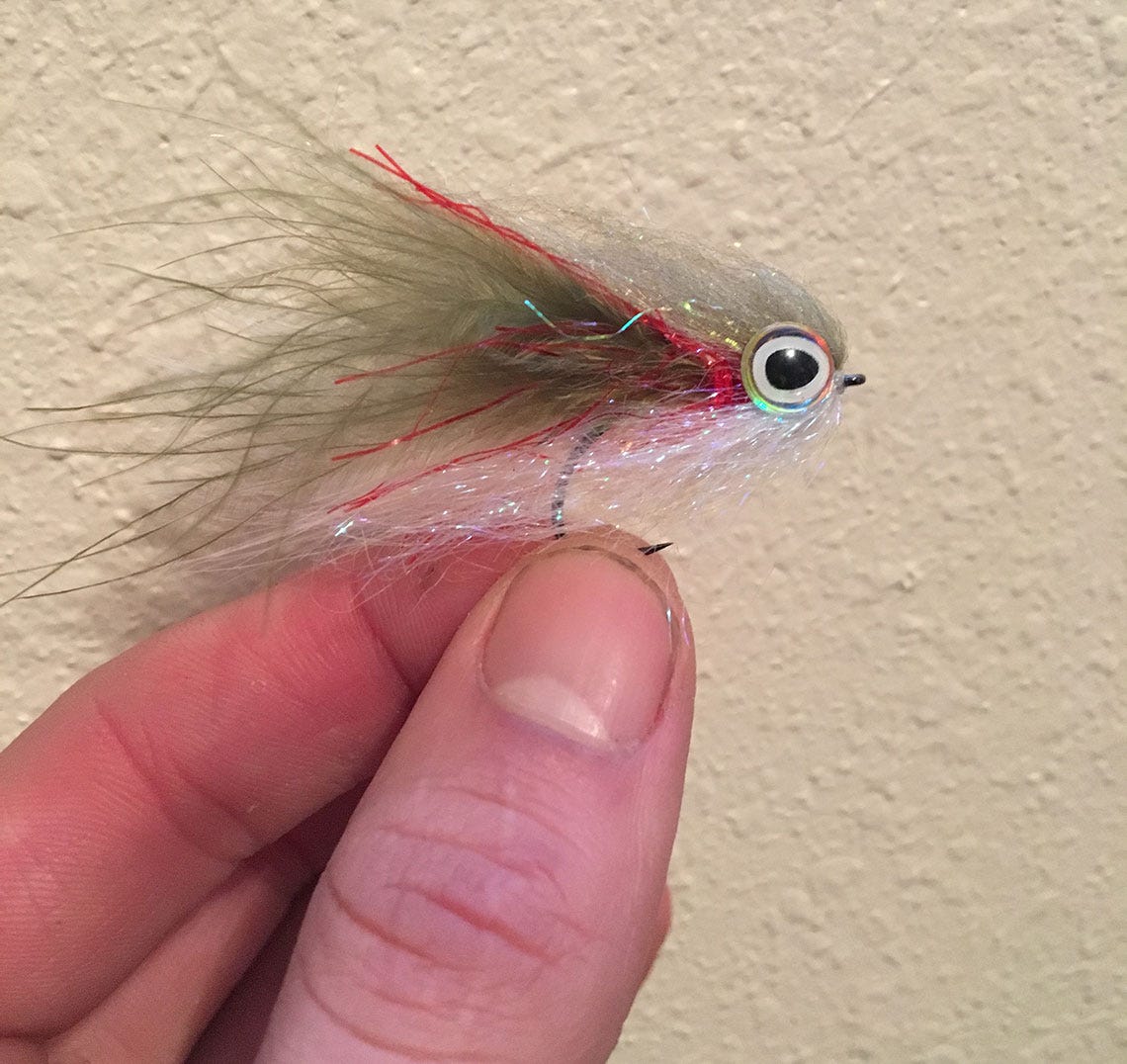 feathersandfish2