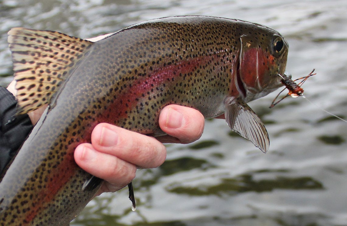 spokaneriver11