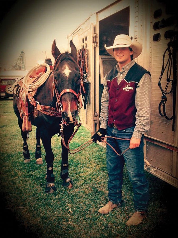diy horse hacks (4)