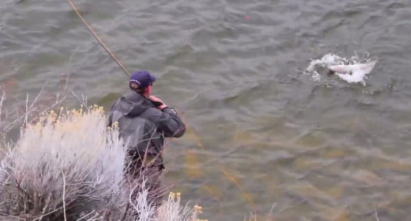 Holter-Lake-Ice-Out-blog