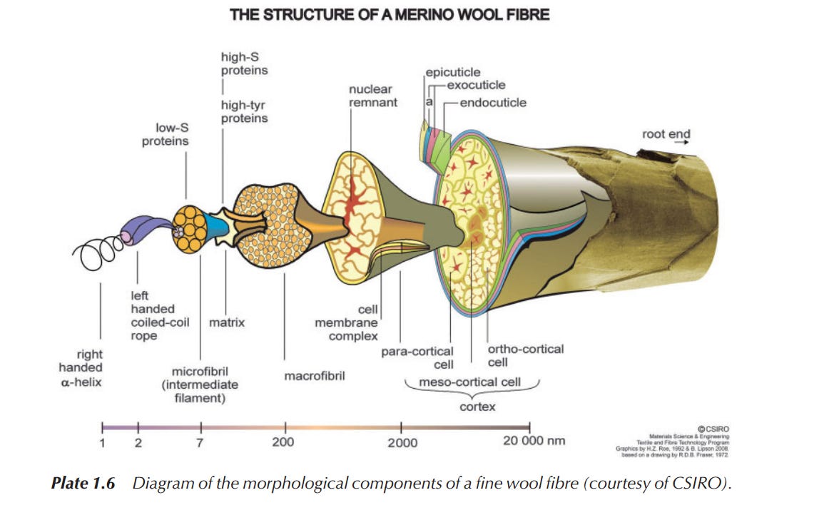 merino-wool