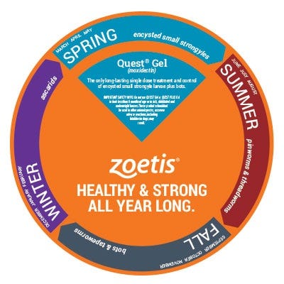 year-round-horse-health-tips-3
