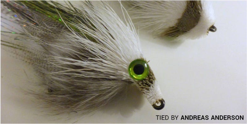 Bringing Flies To Life The Drunk & Disorderly paul beel (1)