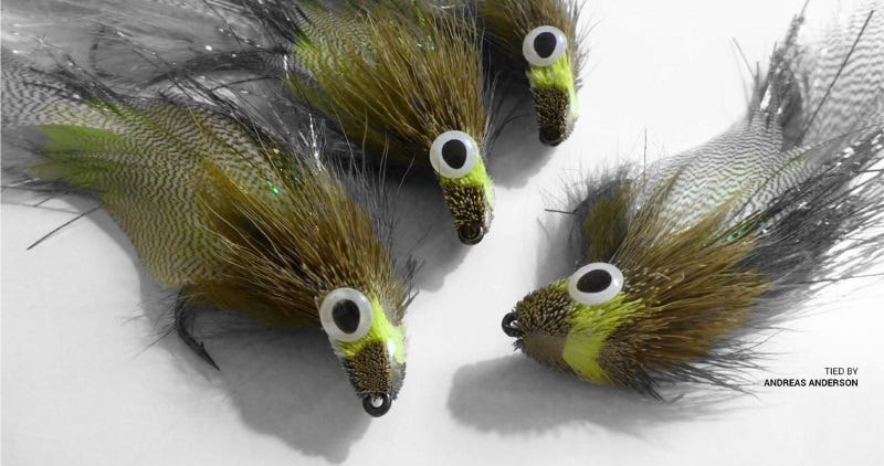 Bringing Flies To Life The Drunk & Disorderly paul beel (2)