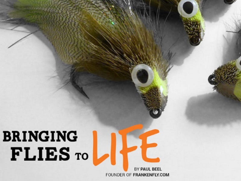 Bringing Flies To Life: Tommy Lynch's Drunk & Disorderly