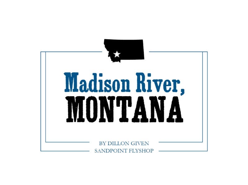 Fly Fishing The Madison River, Montana