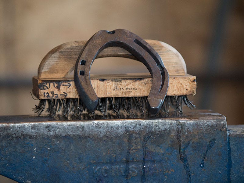 The Anvil: Seasonal Tips for Horse Feet