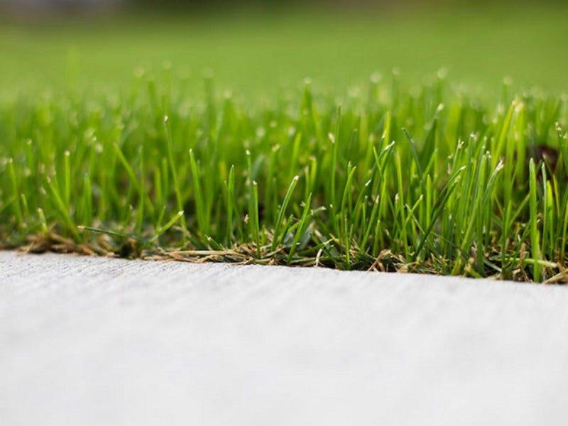 Top 5 Tips for Better Lawns