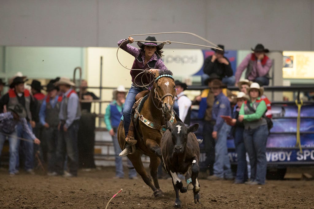 UGF Rodeo. Great Falls, MT. May 2014