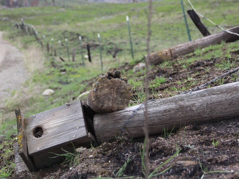 40 Miles of Fence: After the 2015 Washington Fires