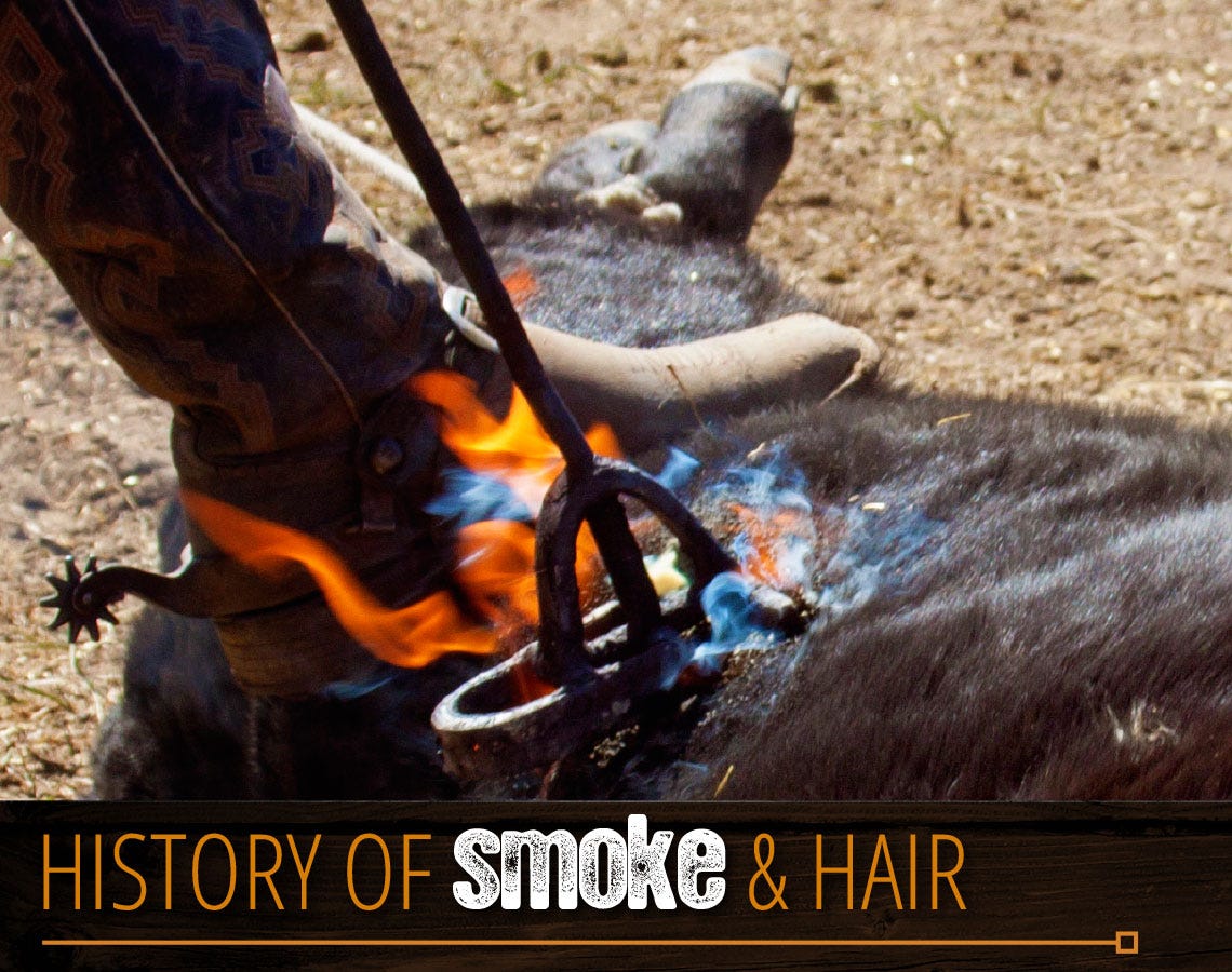 history-of-smoke-and-hair