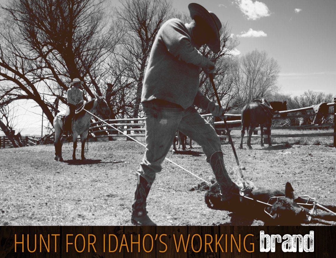 hunt-for-idahos-working-brand