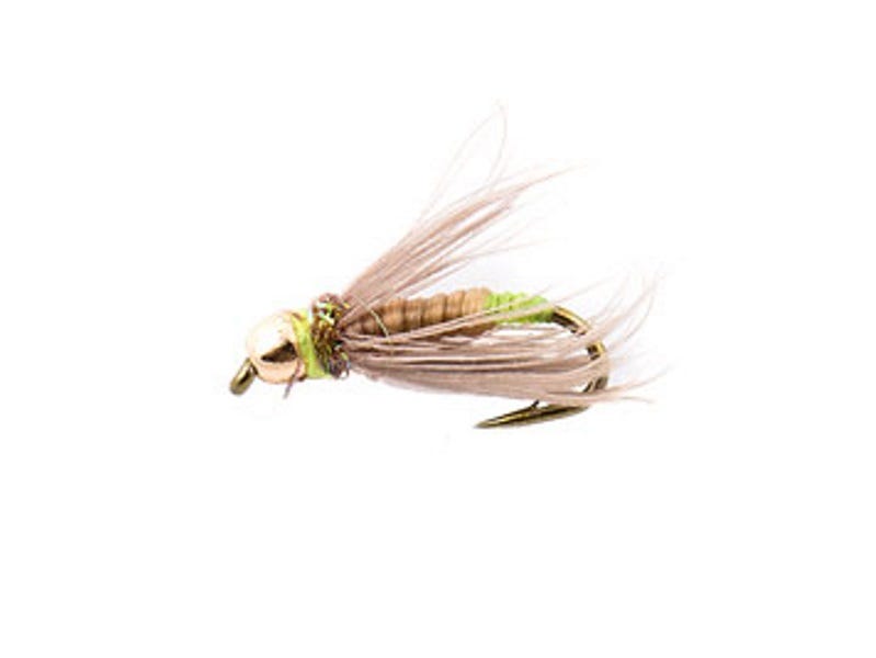 Fly Tying: N40 Caddis