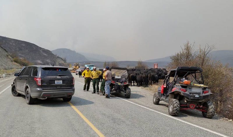 washington-fires-impact-2015