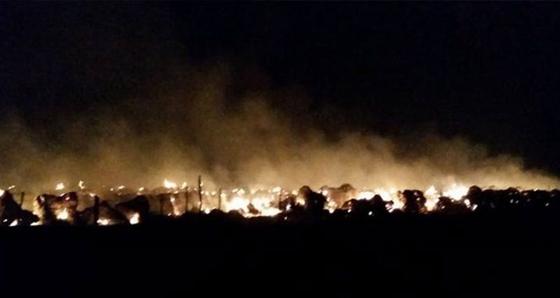 washington-fires-in-2015-damage