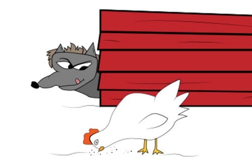build-your-chicken-coop-on-the-ground