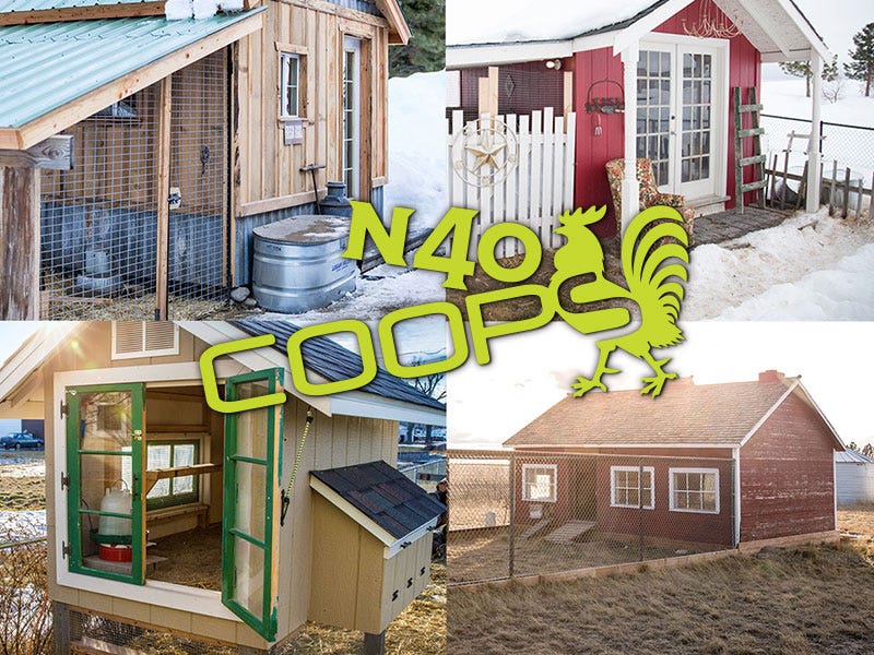 N40 Coops Winners: Best Chicken Coops in the Northwest