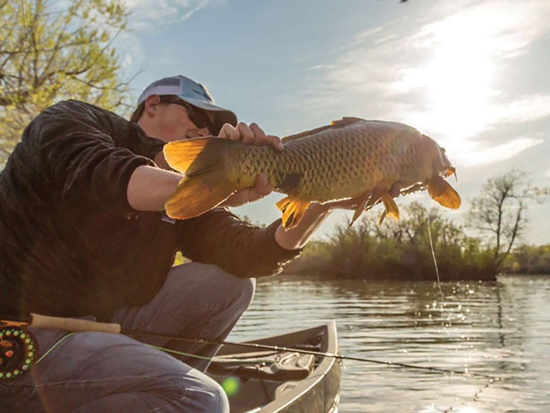 Nucanoe: Get a Billion Butts in Boats