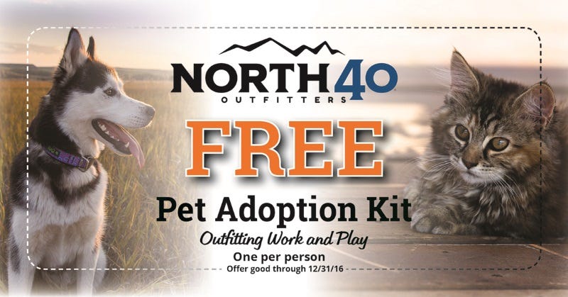 what do you need for a new pet