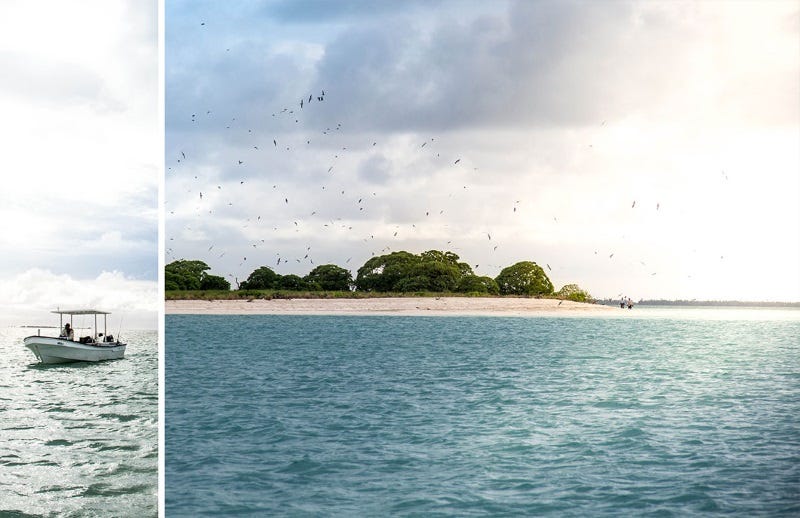 Fly Fishing Travels GTs, Bonefish and Triggers On Christmas Island (4)