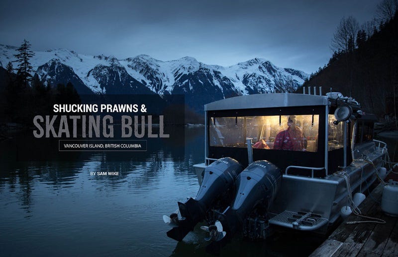 Shucking Prawns & Skating Bull Fly Fishing Vancouver Island (3)