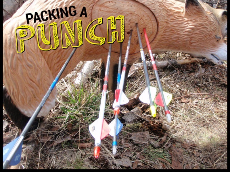mathews halon 6 bow review (1)