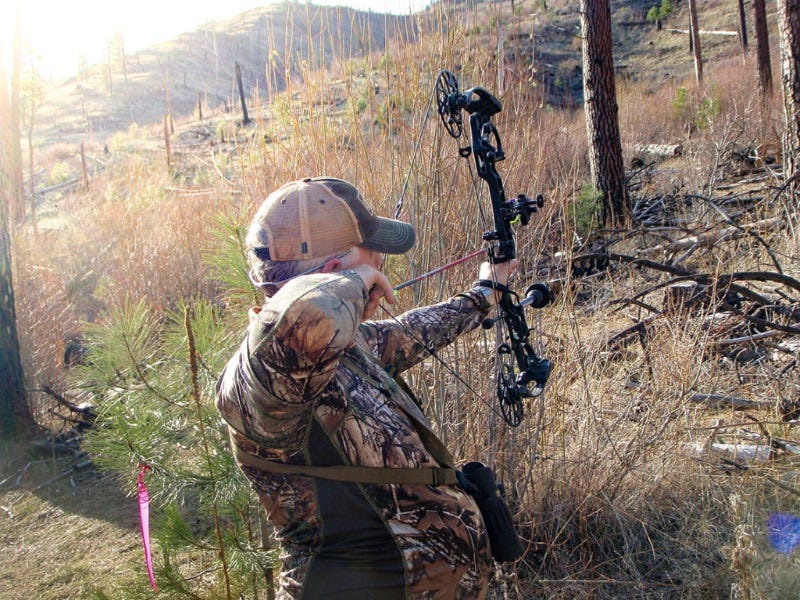 Mathews' Halon 6 Bow Review: Packing a Punch
