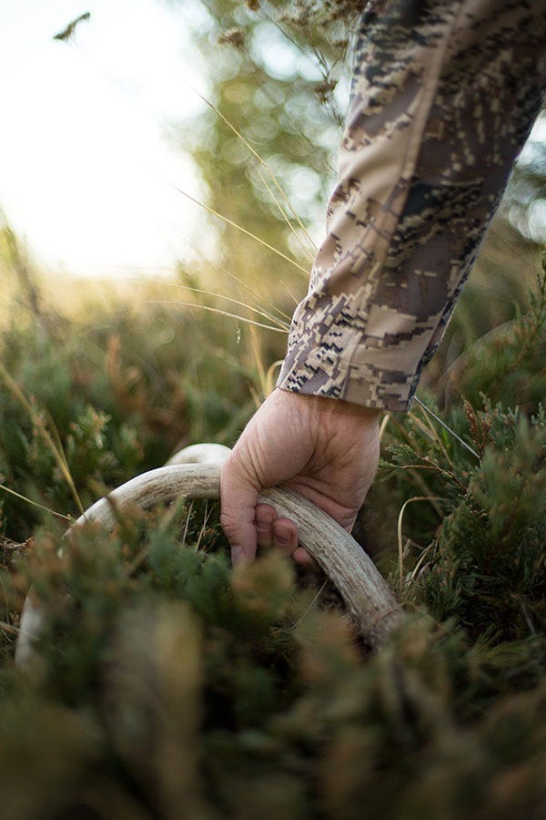 shed-hunting-how-to-1
