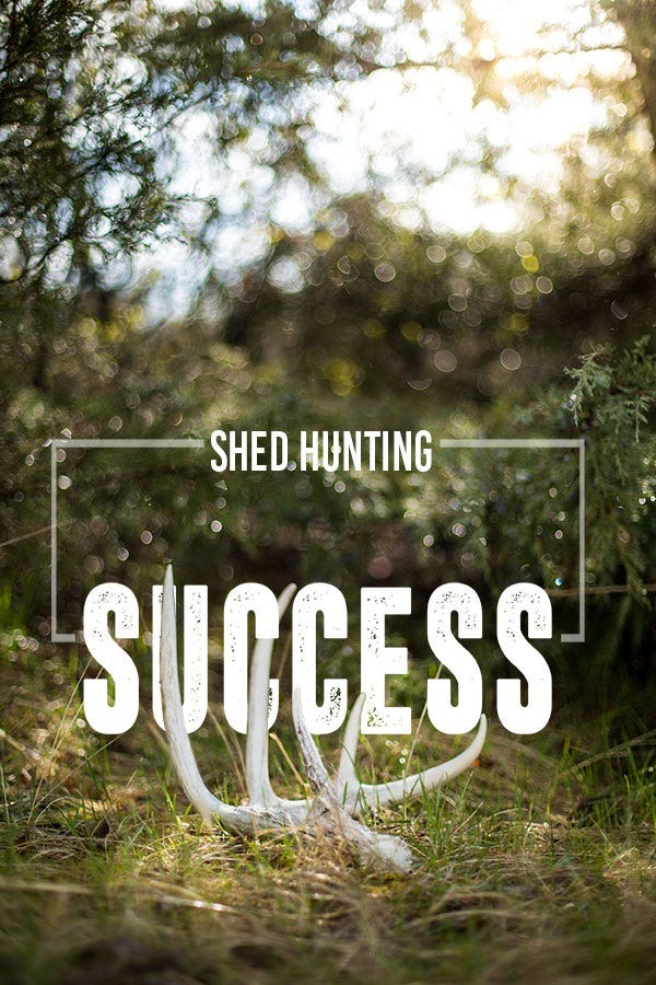 shed-hunting-how-to-2
