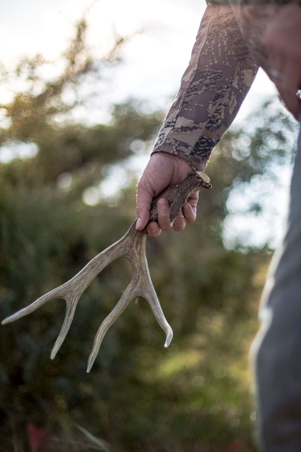 shed-hunting-how-to-3