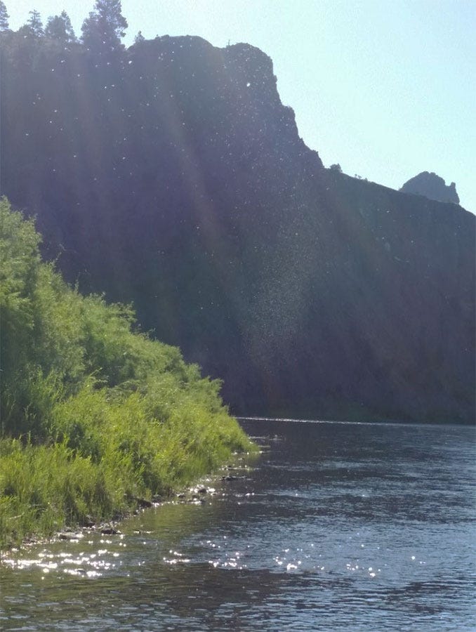 riverreport7-15-
