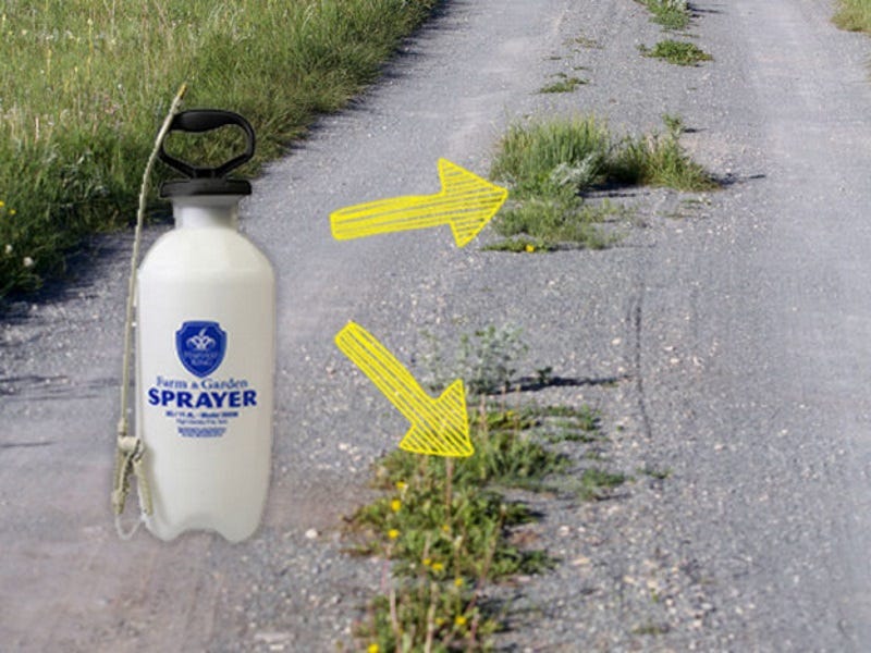 What is the best weed killer? Best Herbicides To Use Based On Weed Type