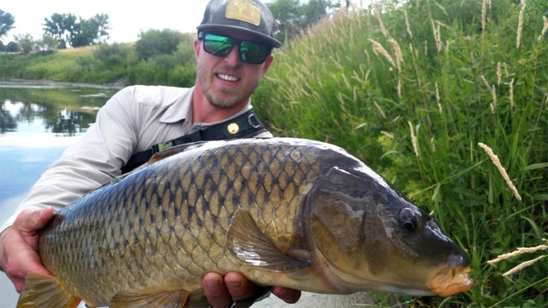 Too Hot To Fly Fish (1)
