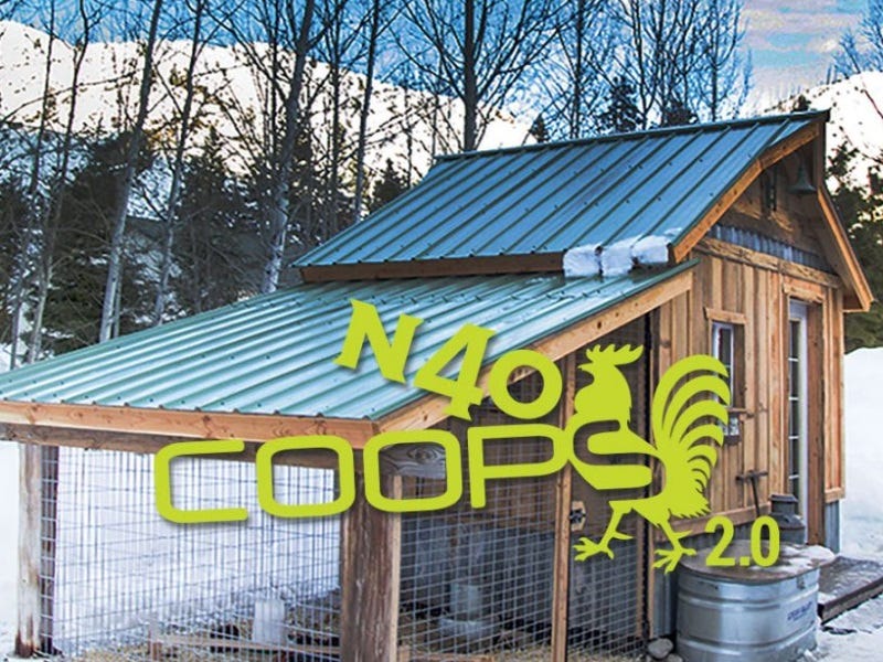 N40 Coops: 6 of the Best Chicken Coops in the Northwest