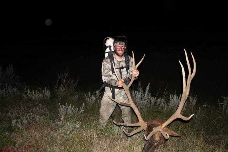 elk calling mistakes