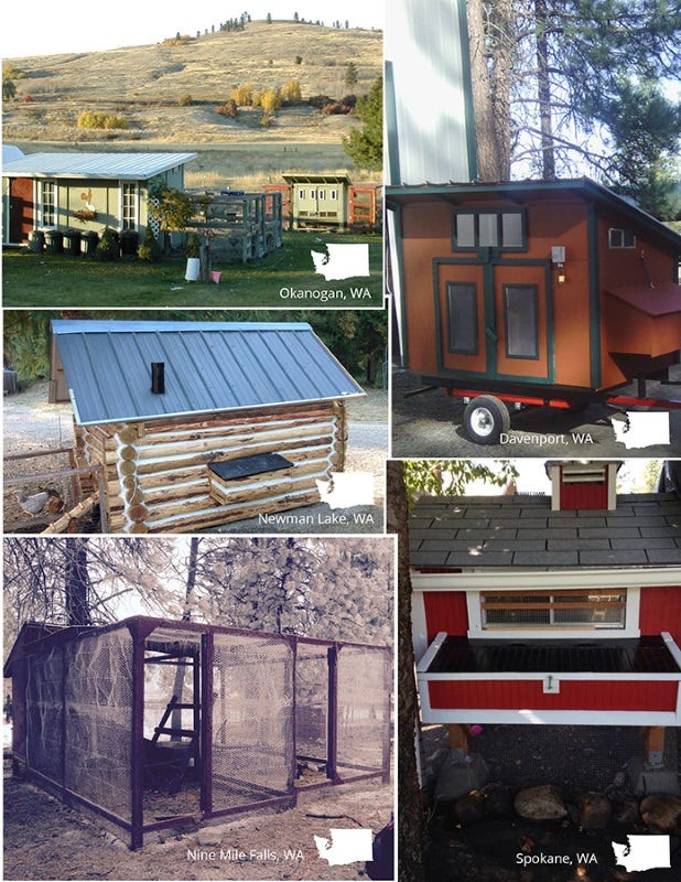 north 40 outfitters n40 coops (4)