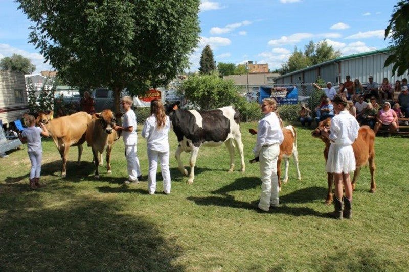 4-h-for-kids-1