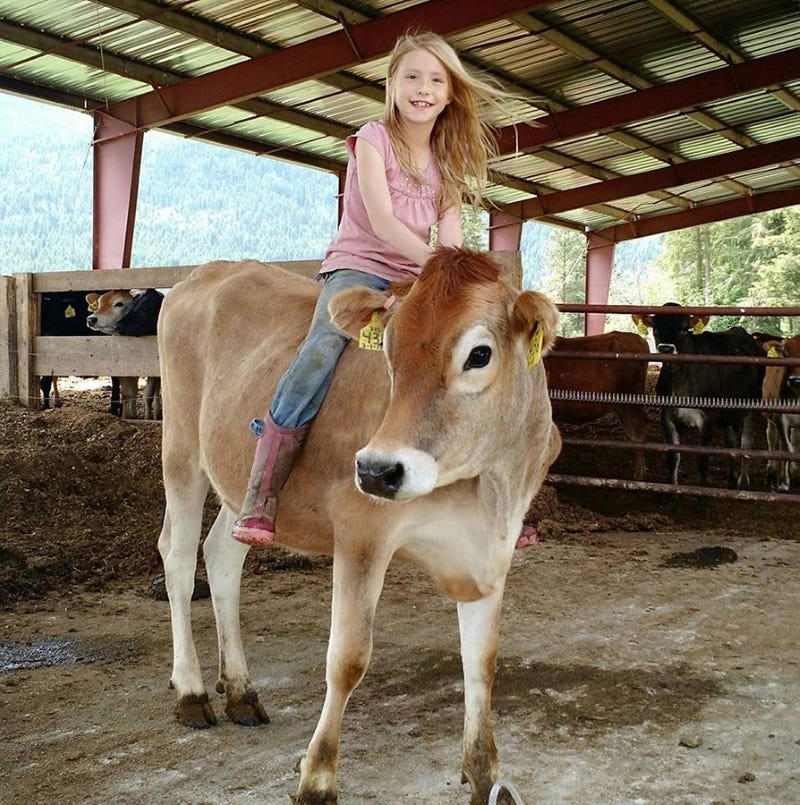 4-h-for-kids-3