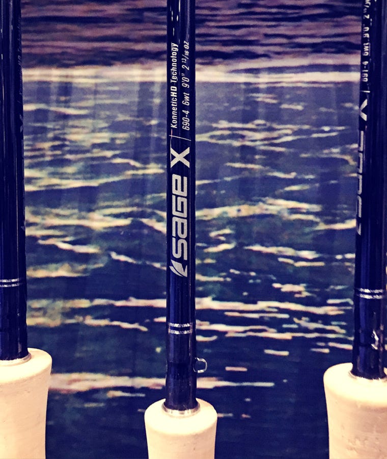 6-sage-x